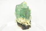 Cubic, Green Fluorite Crystal Cluster - Yaogangxian Mine #215775-1